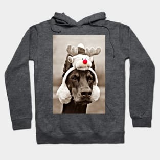 Reindeer Dog Hoodie